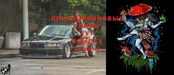 молекула духа Аркадак