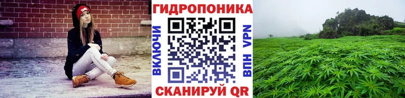 Бошки марихуана ГИДРОПОН Вилюйск
